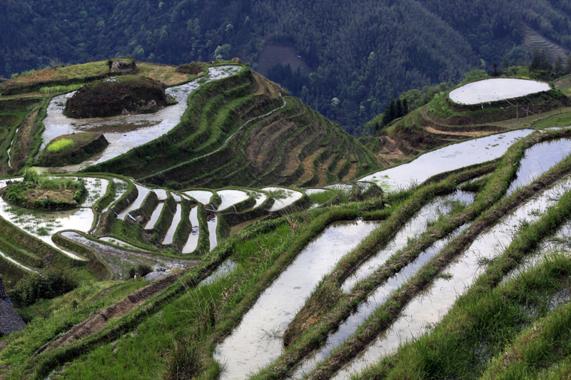 2017-04-12_072010 china-2017.jpg - Longsheng - Pingan - Reisterassen